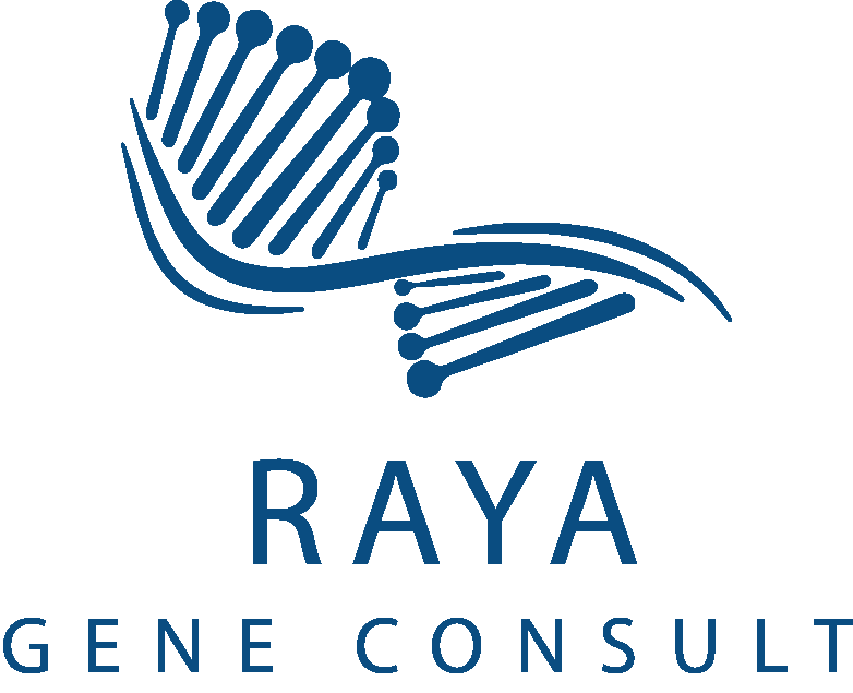 RAYA-CONSULT_LOGO-header-a